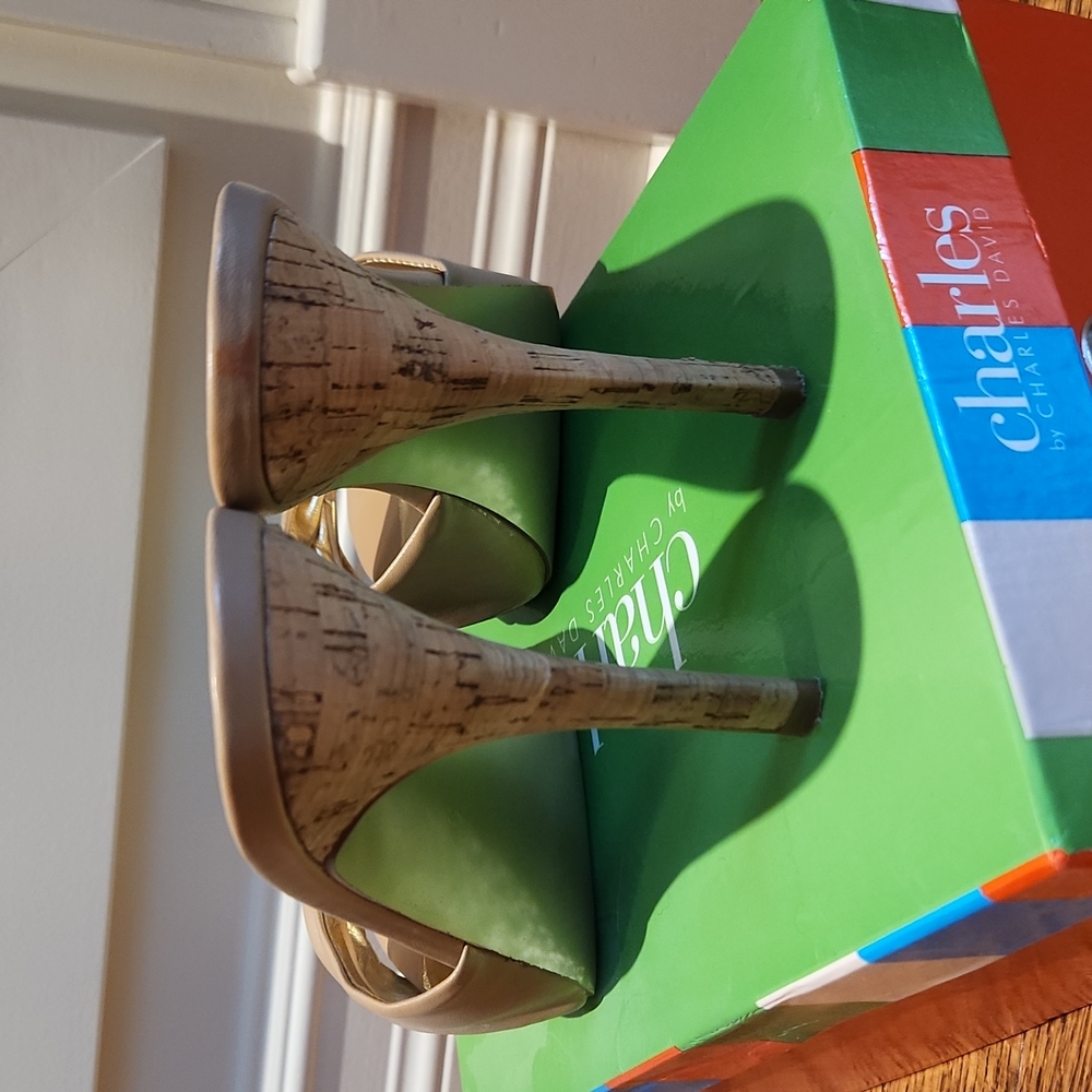 Charles By Charles David Platform Mule Sandal - image 5